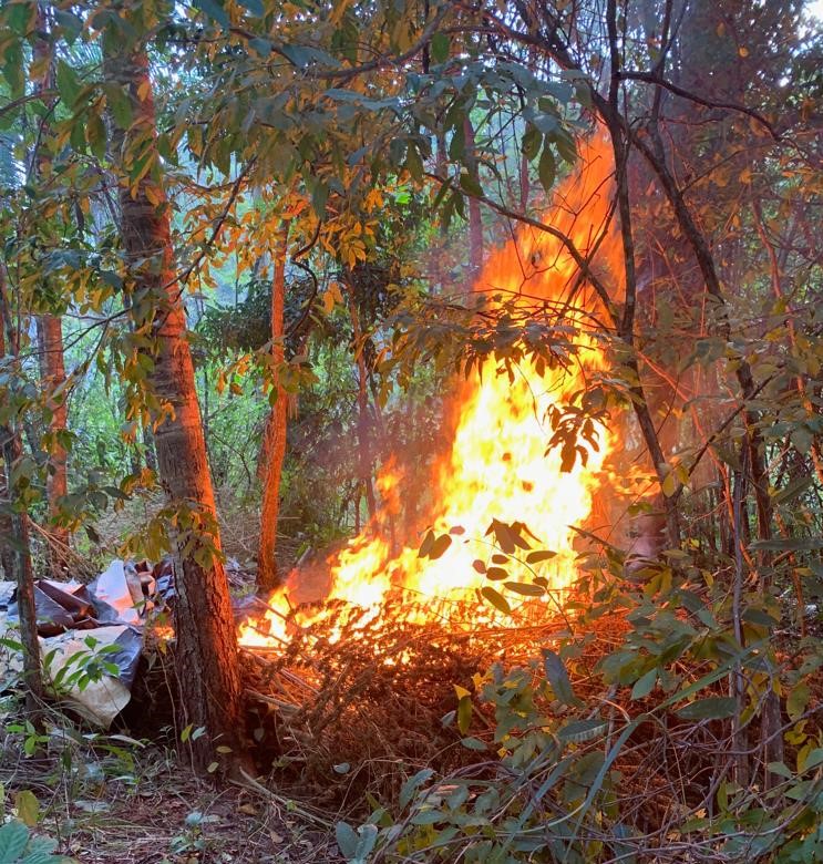 FOGO PÕE FIM À ROÇA DO TRÁFICO - Militares do COD e Graer complementaram operação de semana passada realizando a queima de mais de 5 toneladas de maconha, entre pés de canabis sativa e sacos da erva já ressecada [Foto: Divulgação COD-Graer/PMGO]