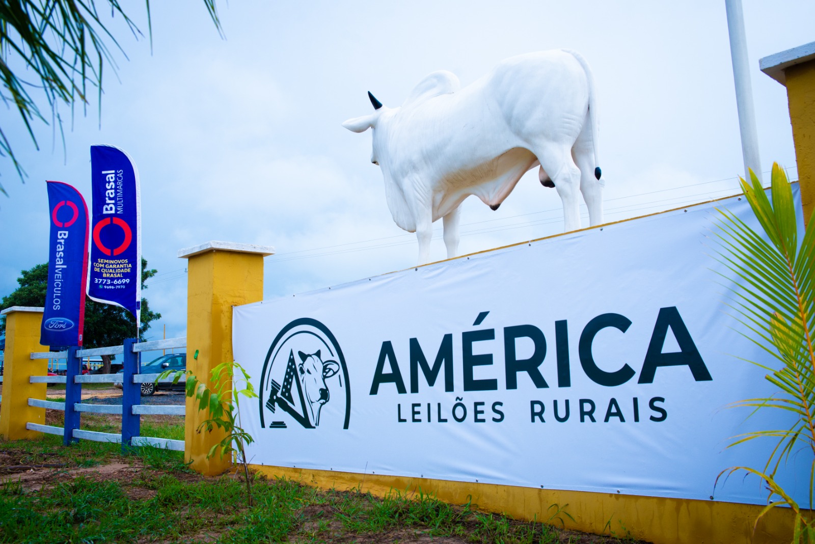 América Leilões Rurais funciona em moderno espaço às margens da BR-414, a cinco quilômetros da área central de Niquelândia: leilões ocorrerão sempre às sextas-feiras a partir das 18 horas [Foto: Divulgação]